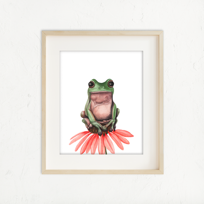 Mr. Frog Man