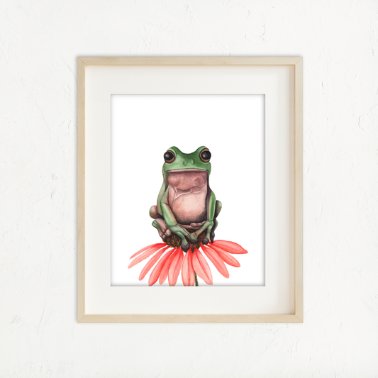 Mr. Frog Man