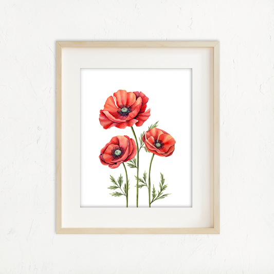Red Poppies Cluster