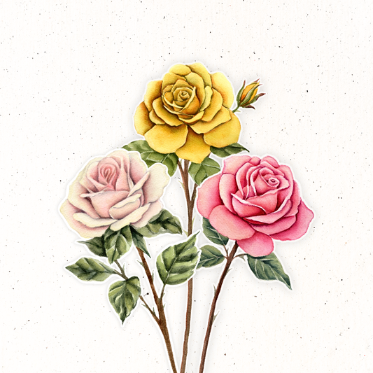 June Birth Flower- Rose