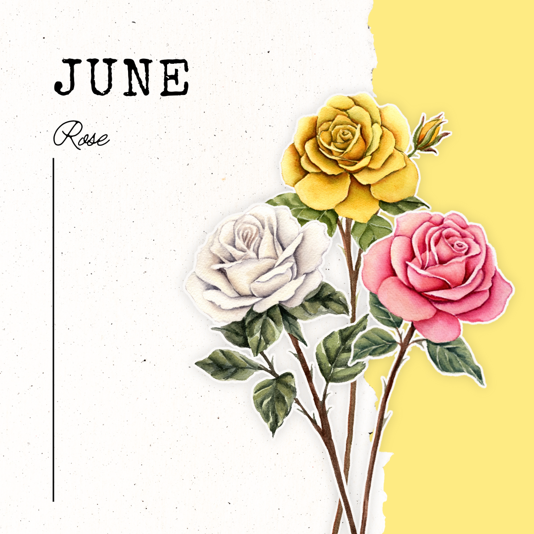 June Birth Flower- Rose