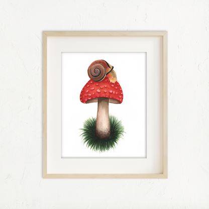 Snail Mushroom