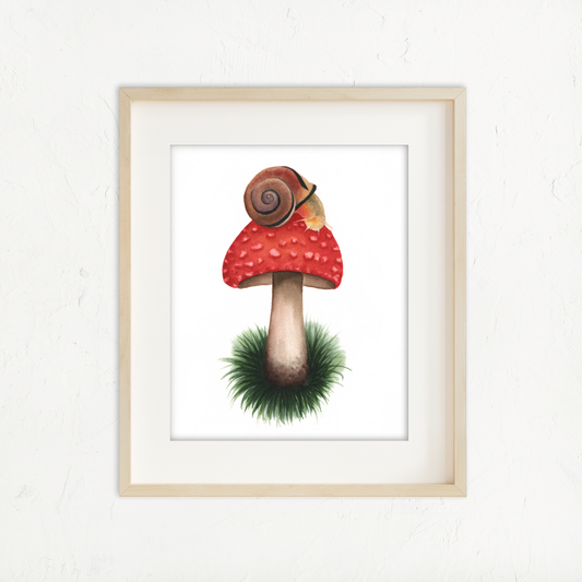 Snail Mushroom