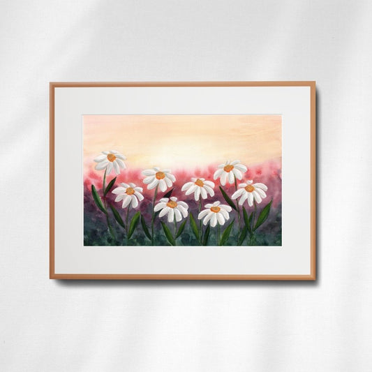 Sunset Daisies