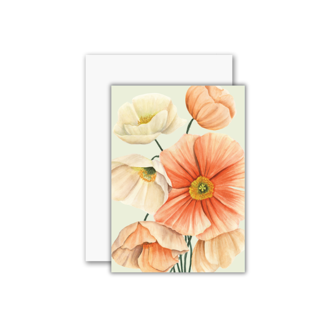 Iceland Poppies Greeting Card