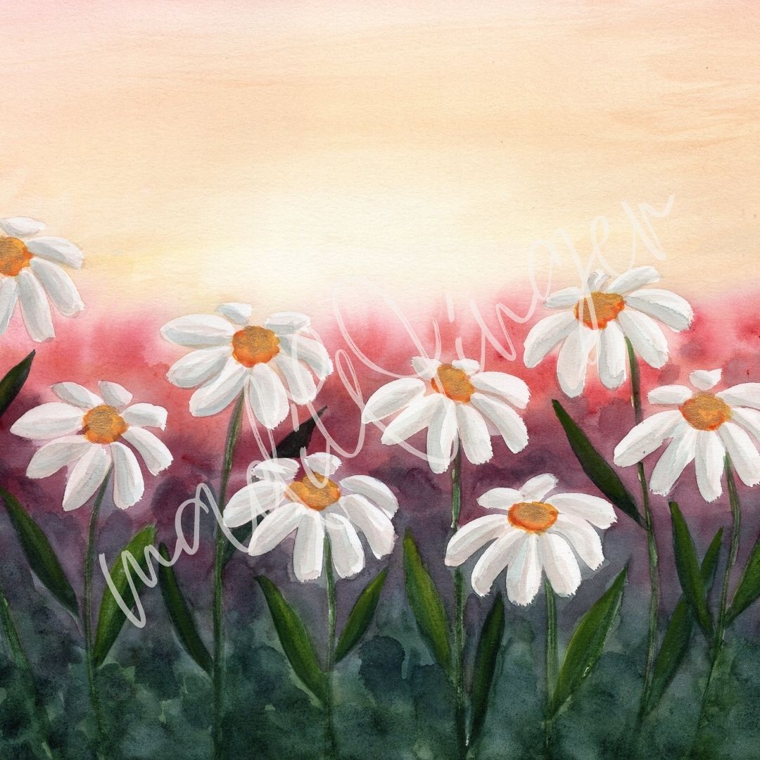 Sunset Daisies