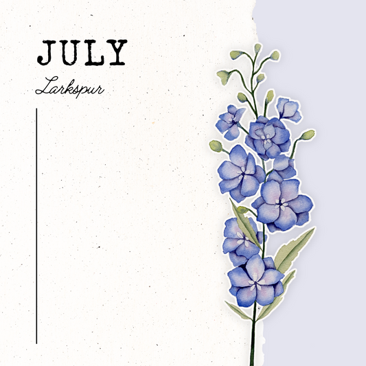 July Birth Flower- Larkspur