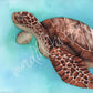 Sea Turtle