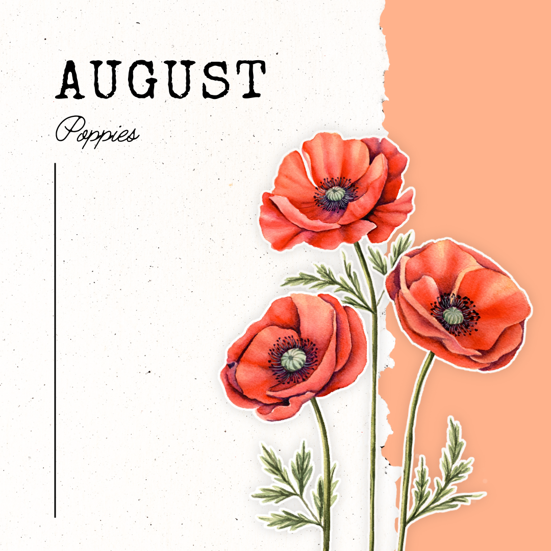 August Birth Flower- Poppy