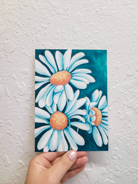 Clearance Daisies A