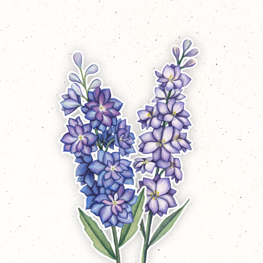 July Birth Flower- Larkspur