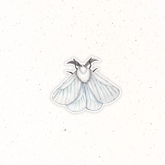 Garden Friends- White Moth