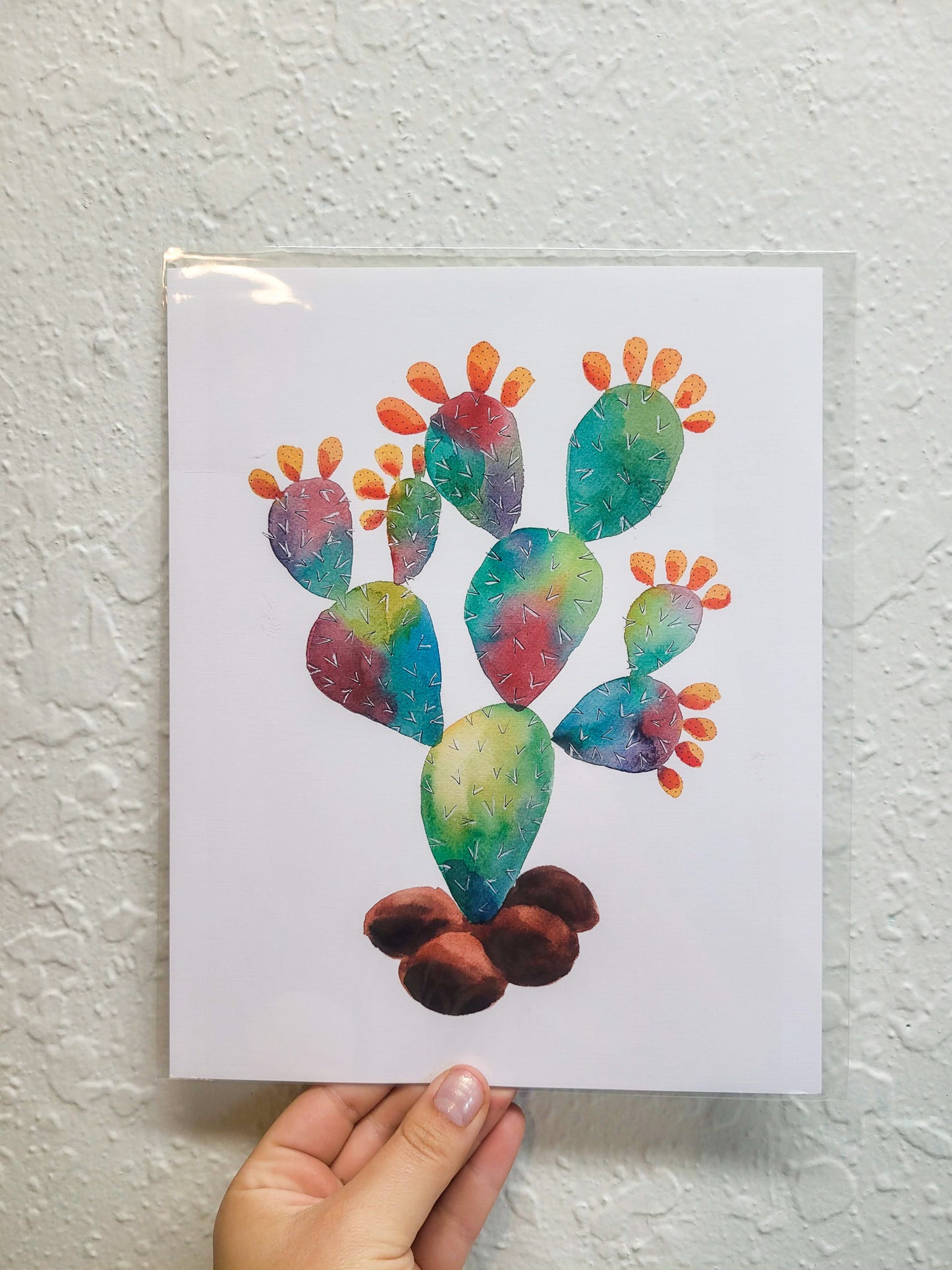 Clearance Prickly Pear A