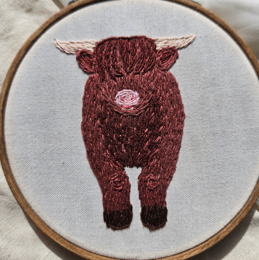 Highland Cow