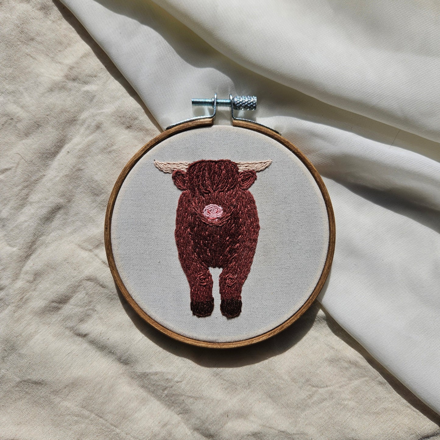 Highland Cow